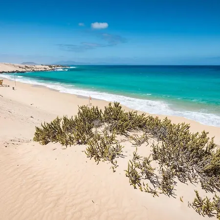 Lejlighed Home2Book Charming Apartment Corralejo *